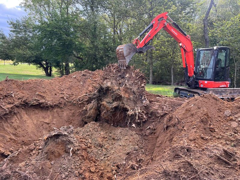 Land Clearing and Stump Removal