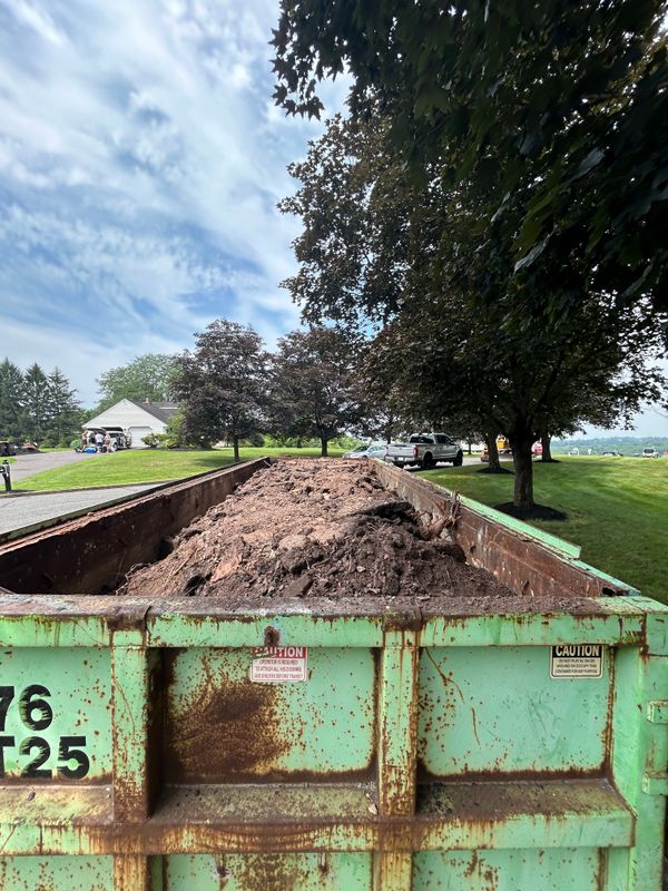 Land Clearing