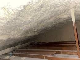 Spray Foam Insulation