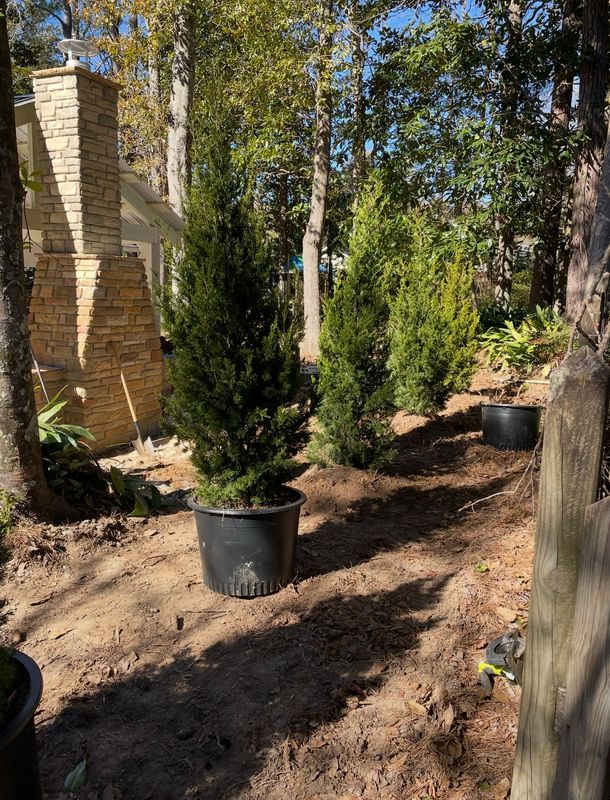 Landscape Design & Planting