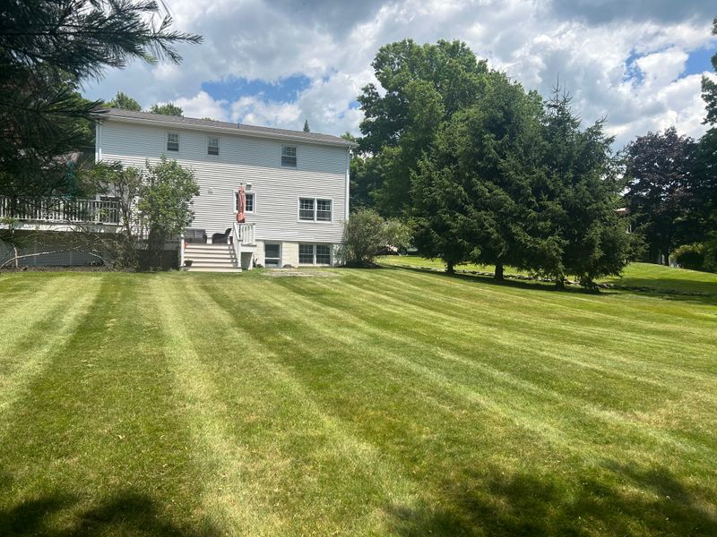 Lawn Maintenance