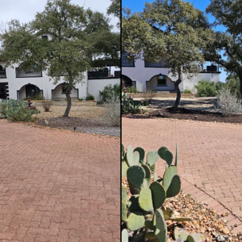 Shrub Trimming