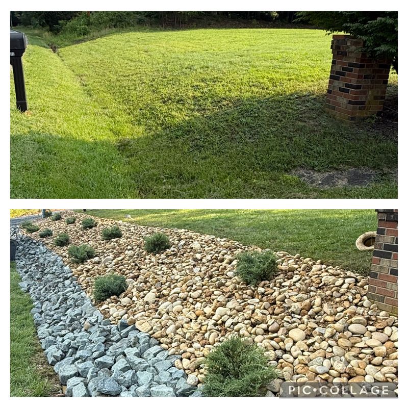 South Stafford Scenic Transformation: Exceptional Tree Care by Branch Out Tree Care LLC