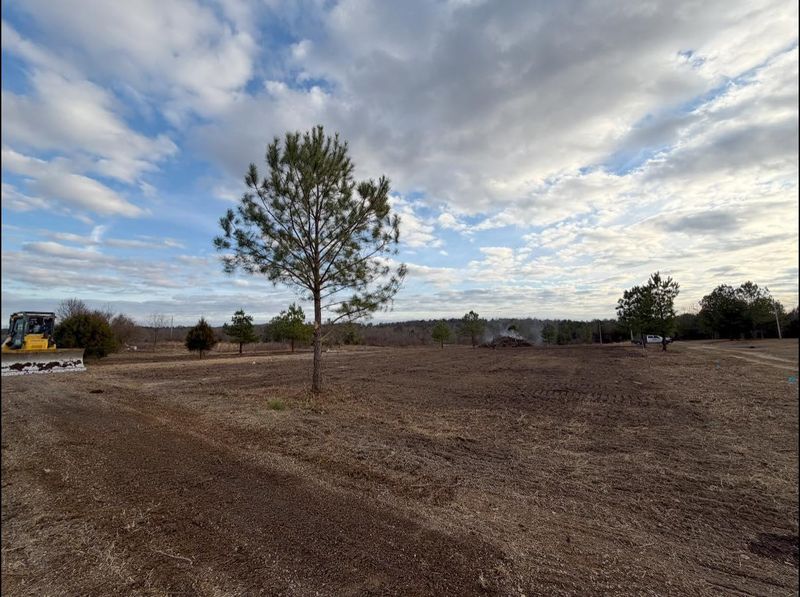 Land Clearing