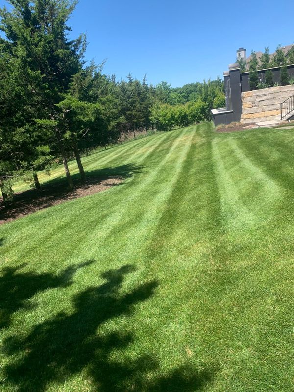 Lawn Care and Maintenance