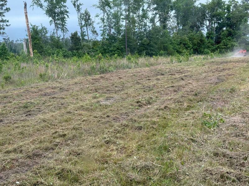 Land Clearing