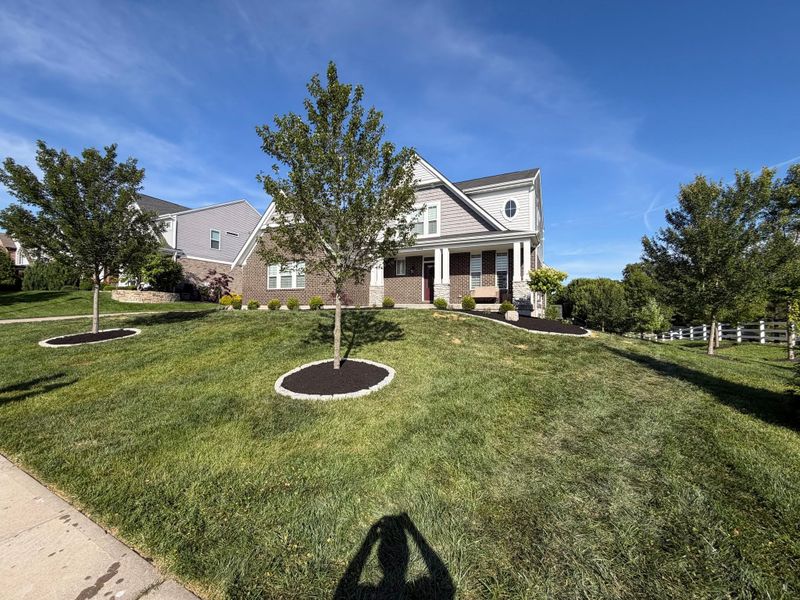 Lawn Maintenance & Cleanups