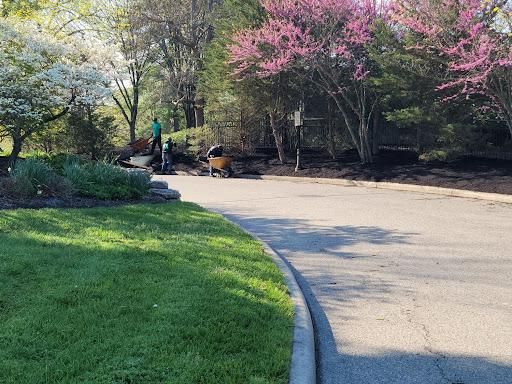 Sod And Seeding