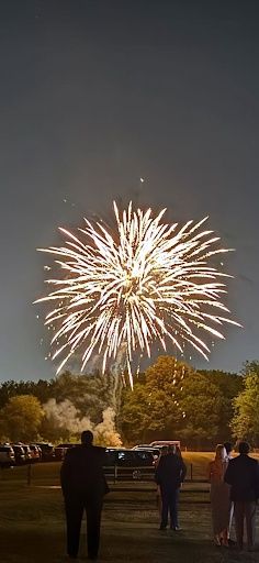 Sky High Pyrotechnics: Lighting Up Georgia, One Explosion at a Time!
