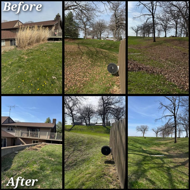 Fall and Spring Clean Up
