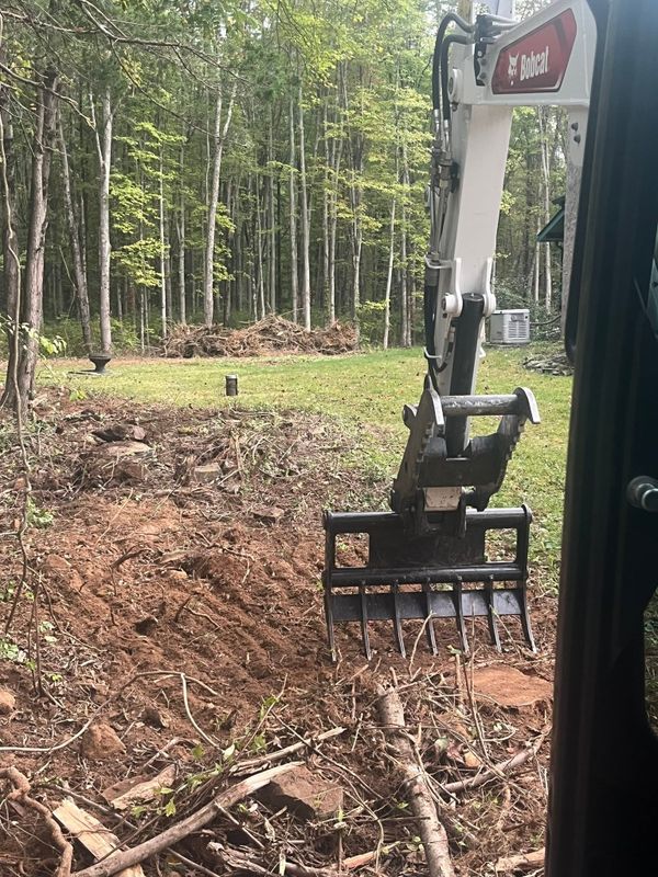 Stump Removal