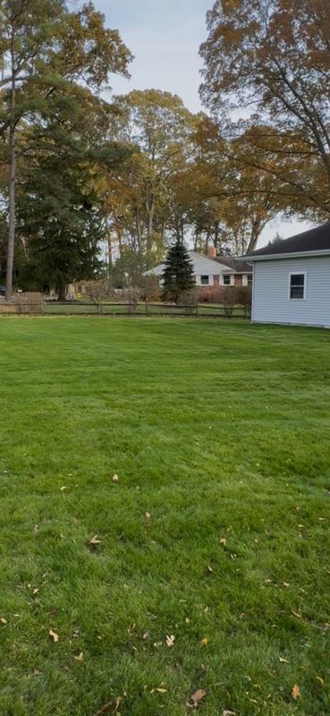 Lawn Mowing & Maintenance