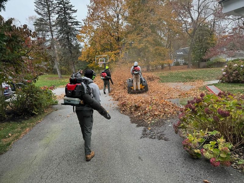 Lawn Care & Maintenance
