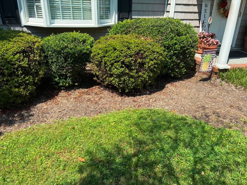 Hardscape Installation