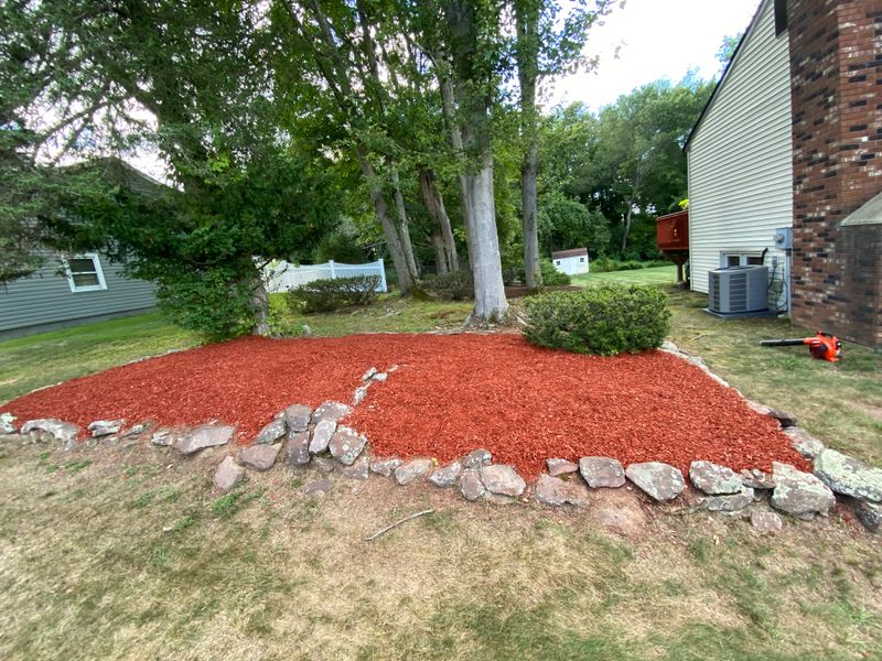 Lawn Maintenance