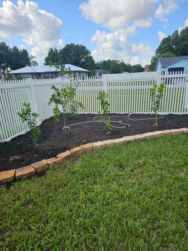Lawn Care & Maintenance