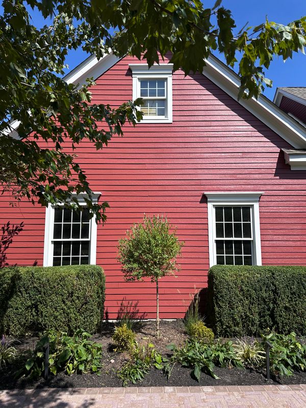 Tree & Perennial Planting