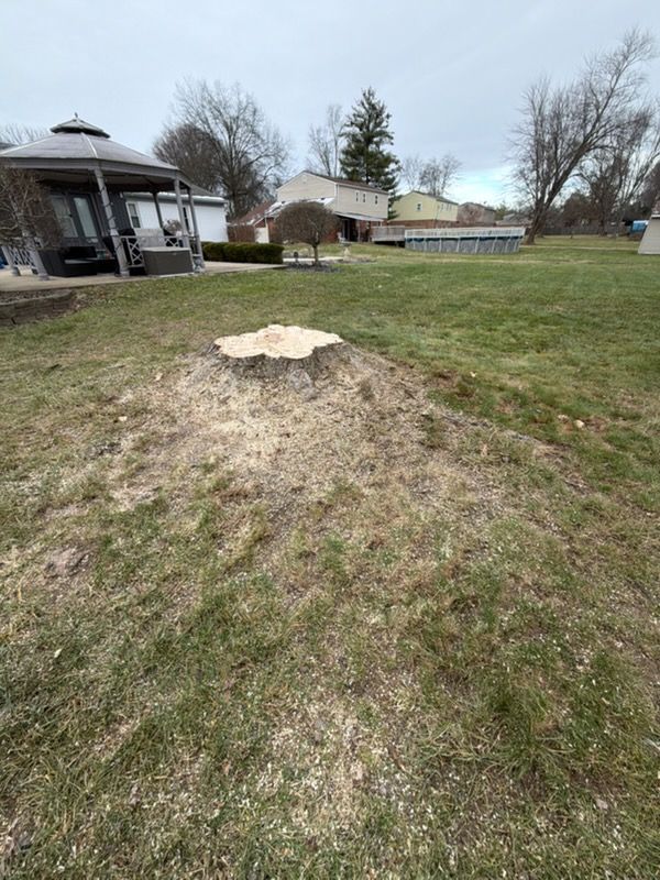 Stump Removal