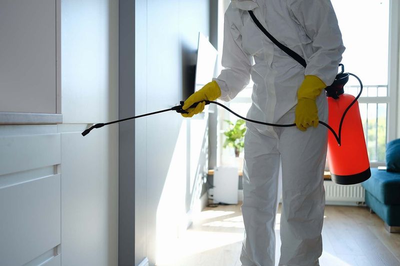 Residential Pest Control