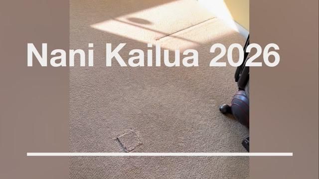 Carpet Installation and Repair