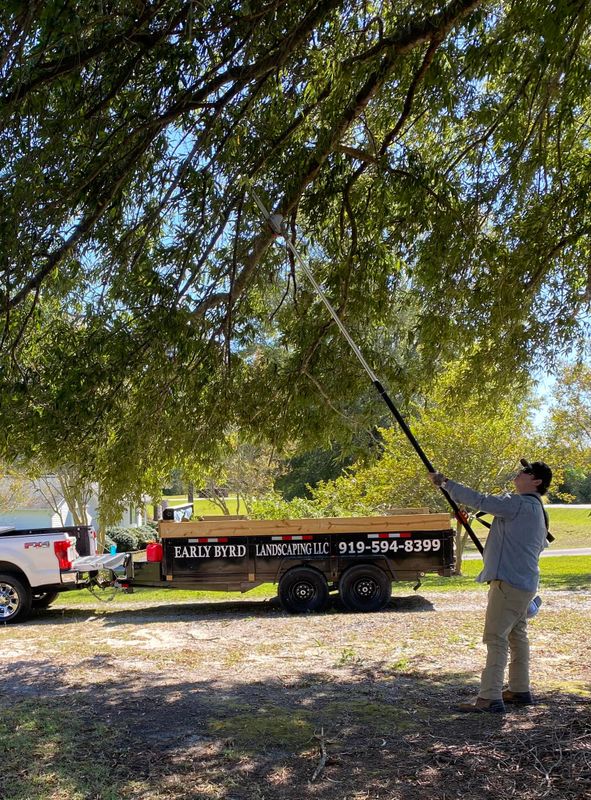 Fall Clean Up