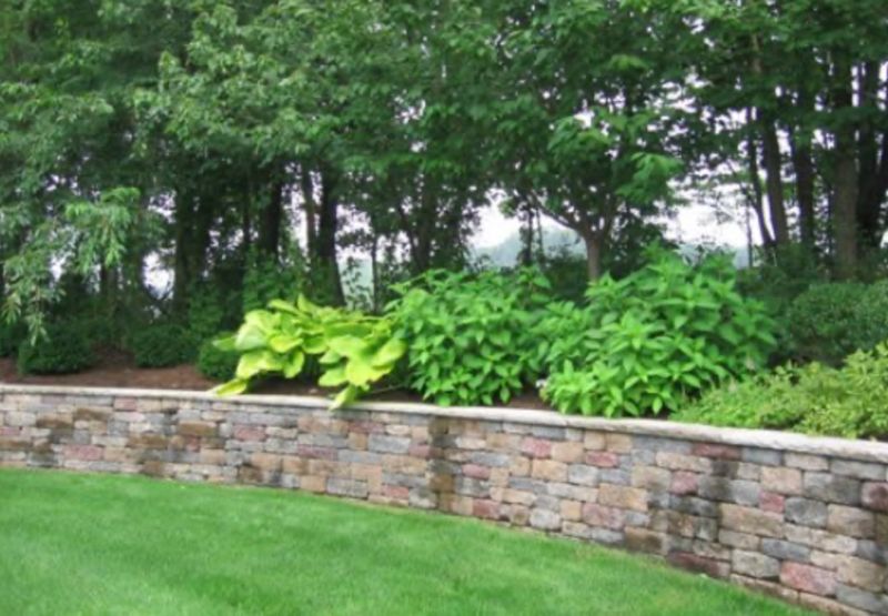 Landscape Design & Installation