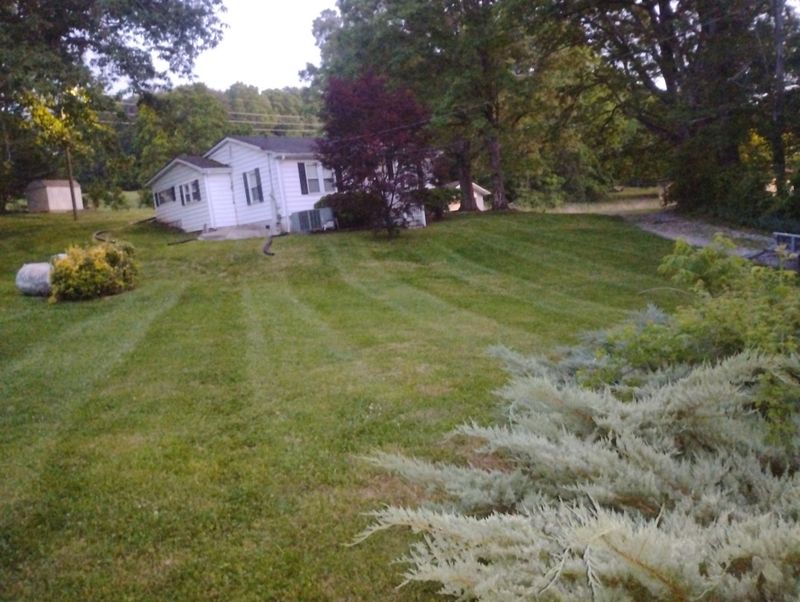 Lawn Maintenance
