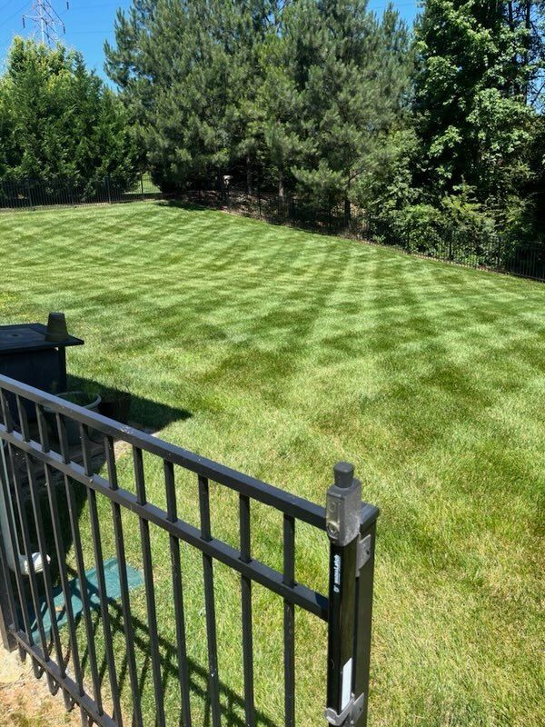 Lawn Care