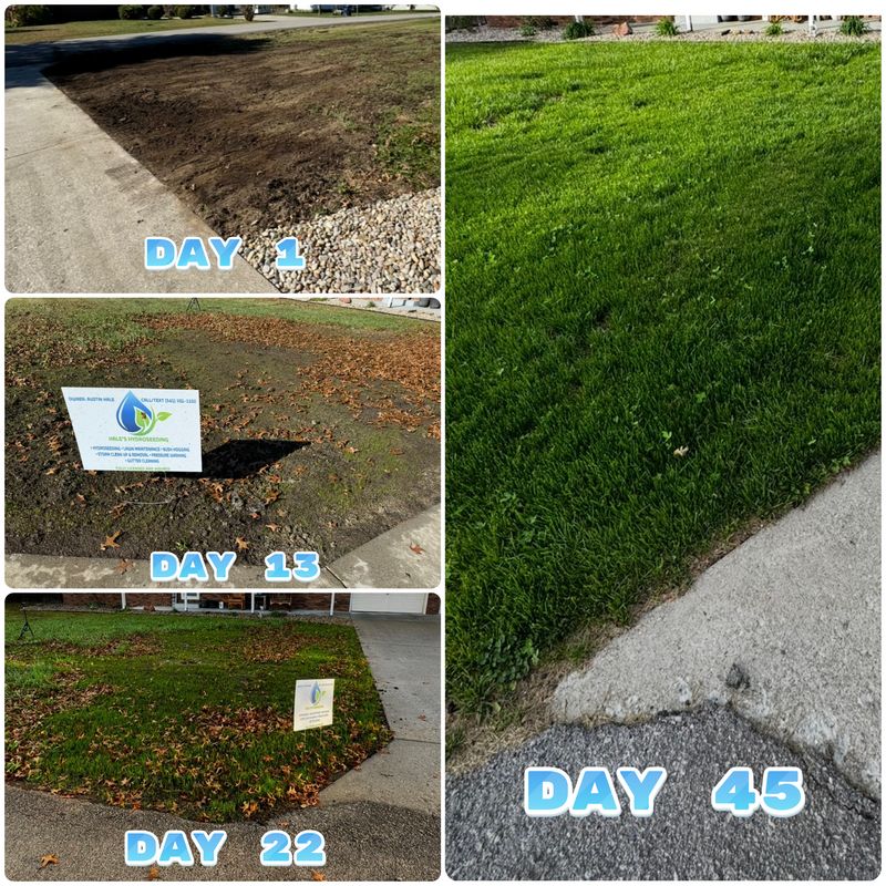 Hydroseeding 