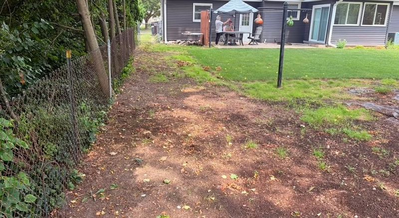 Leaf Cleanups