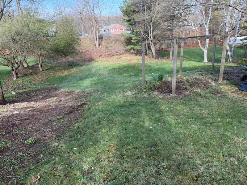 Landscape Design & Installation