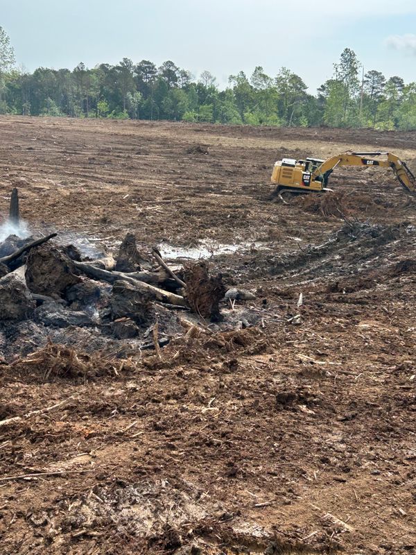 Land Clearing