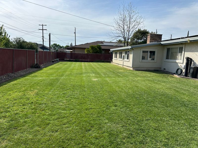 Lawn Maintenance