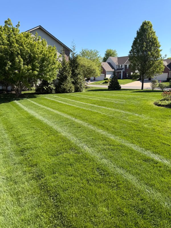 Lawn Care and Maintenance