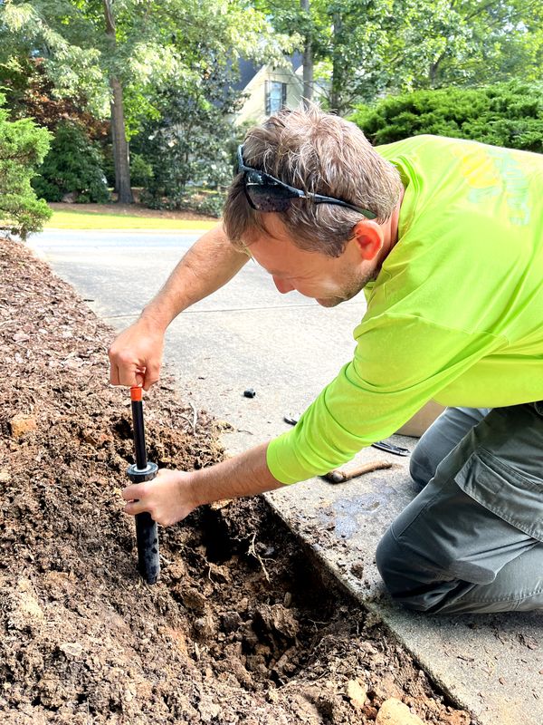 Planting, irrigation, yard features and mulch