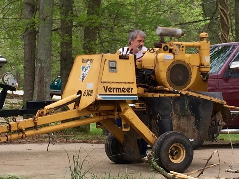 Tree Removal gallery