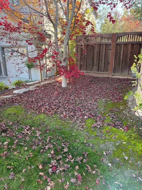 Landscaping