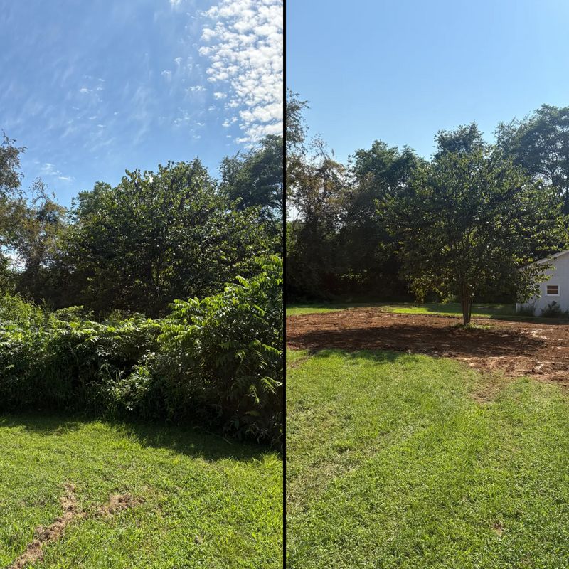 Land Clearing