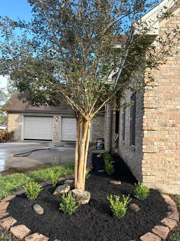 Tree & Shrub Care