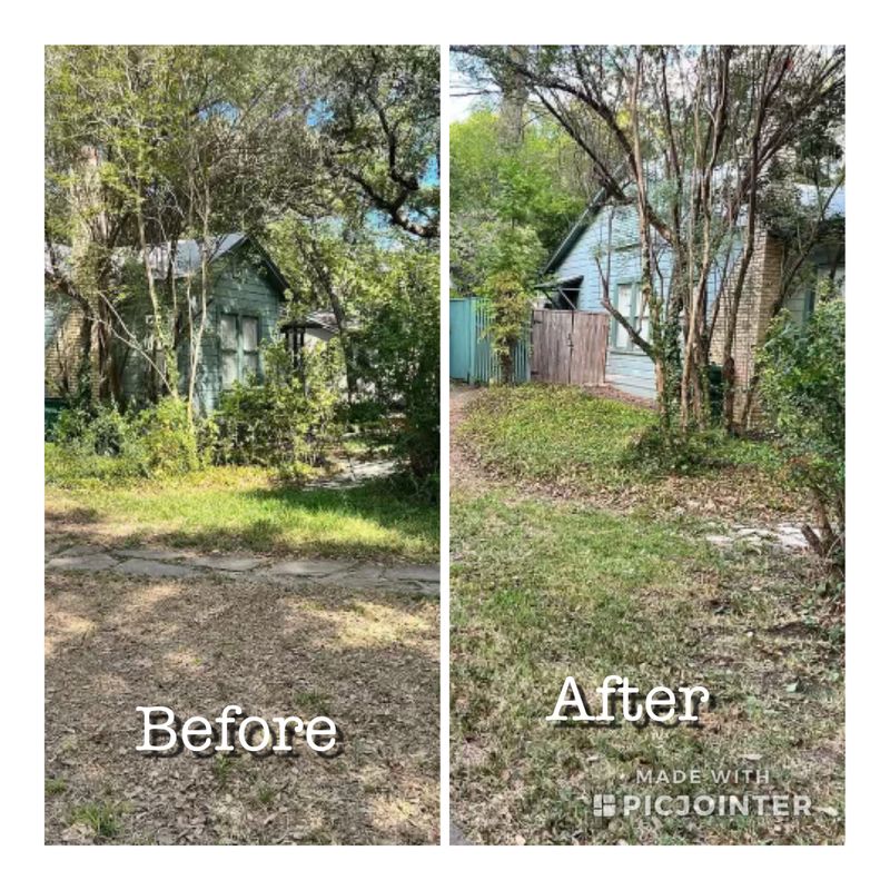 Fall Clean Up