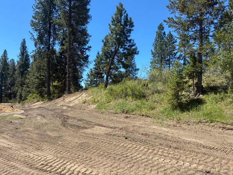 Land Clearing