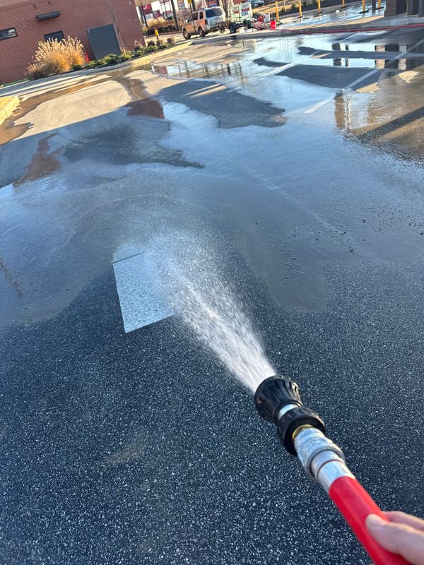 Pressure Washing 