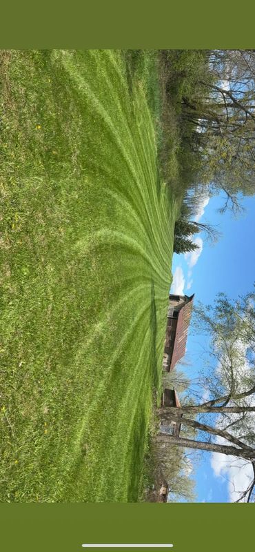 Front Yard Makeovers