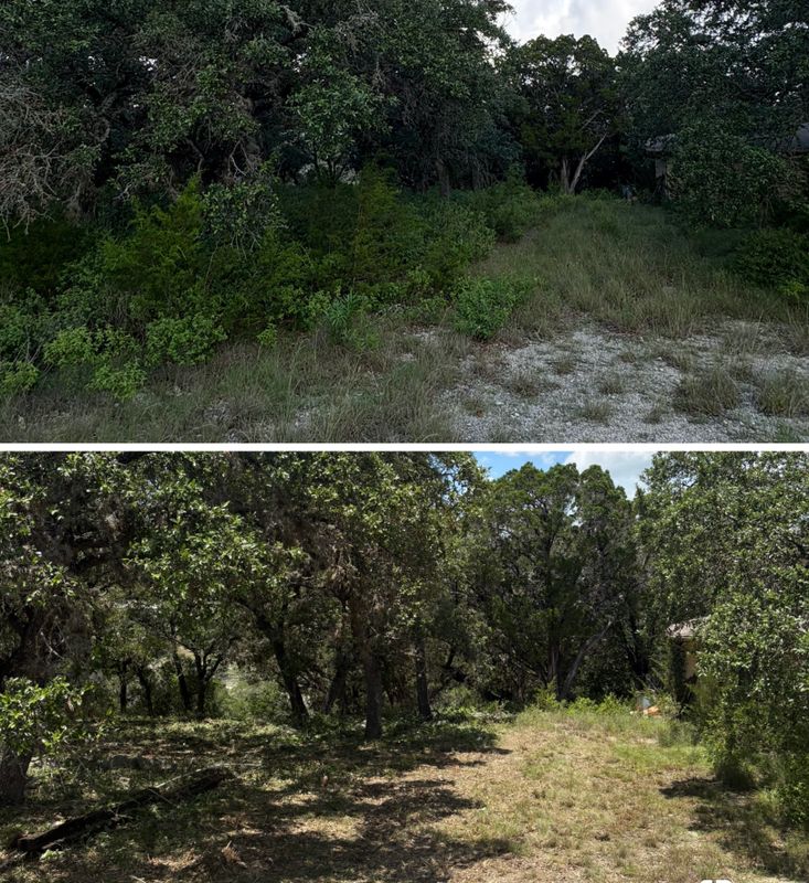 Tree Trimming & Land Clearing