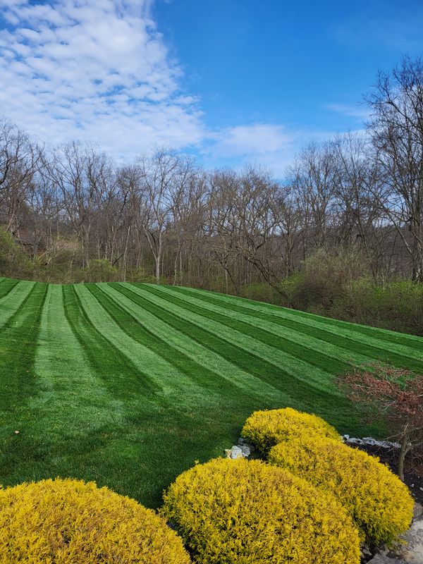 Landscaping