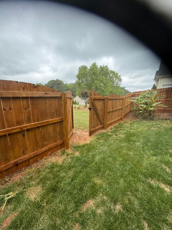 Deck & Fence Staining