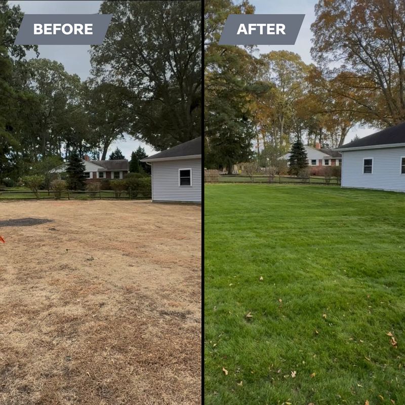 Lawn Mowing & Maintenance