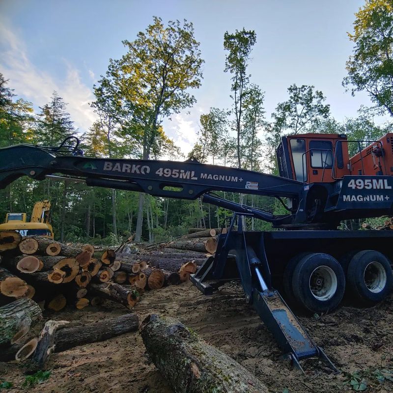 Tree Services