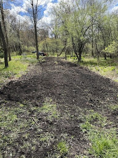 Brush Removal/Hogging