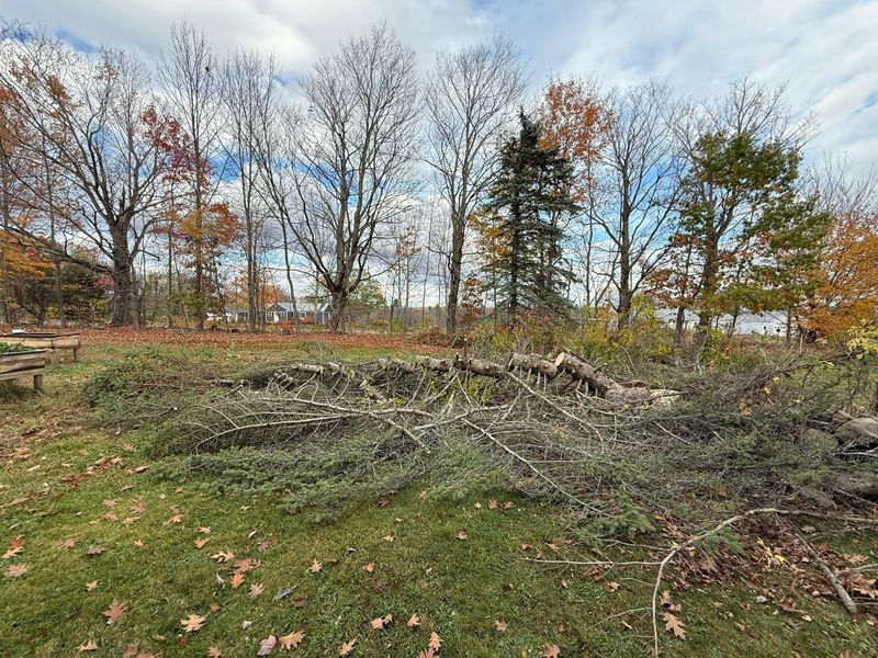 Fall Clean Up